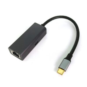 0.2M USB TYPE C TO GIGABIT ETHERNET & PD 100W ADAPTER