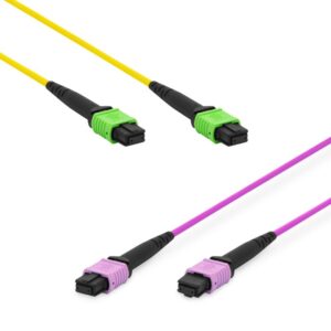 12 Fibre MPO Patch Lead