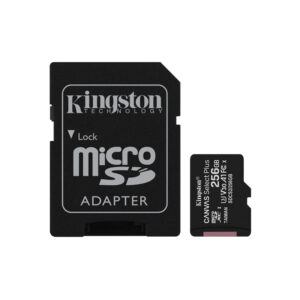 2 IN 1 SECURE DIGITAL / MICRO SDHC CARD - 256GB